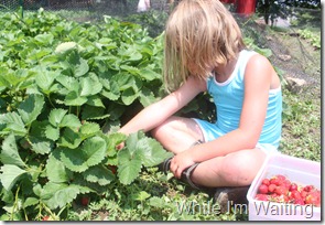 2011 Jun 08_0027 2011 Jun 08_0027