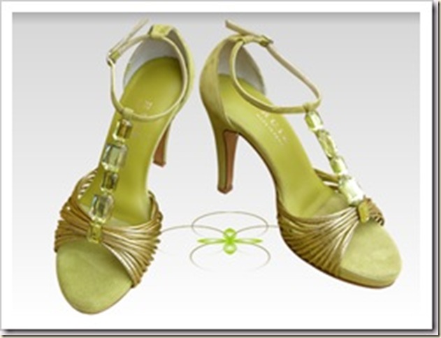 zapatofiesta6