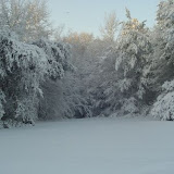 Backyard snow.jpg