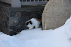 Look at her slinking around like some jungle cat about to pounce on her prey.