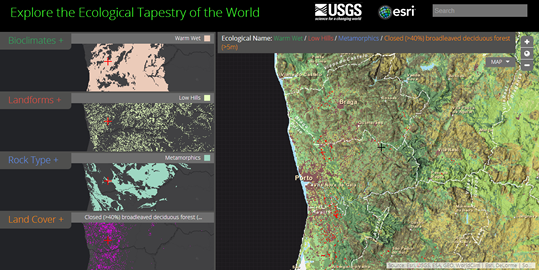 Ecological Tapestry of World Ecosystems