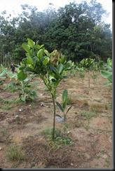 IMG_4876 IMG_4876