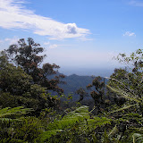 View from near the top of Gunung Talaga, Halimun (Daniel Quinn, February 2011)