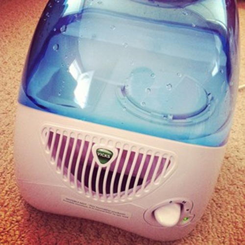 Vicks Humidifier Life the Epic Journey
