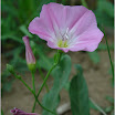 DSC02994.jpg