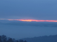 IMG_2741