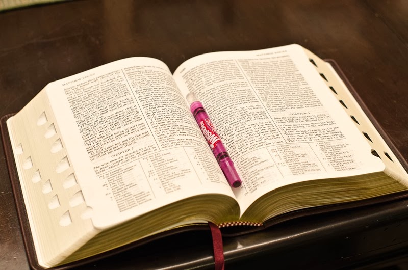 [December%2520Fun-30%255B15%255D.jpg]