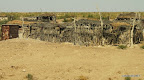 Shepherd's dwellings