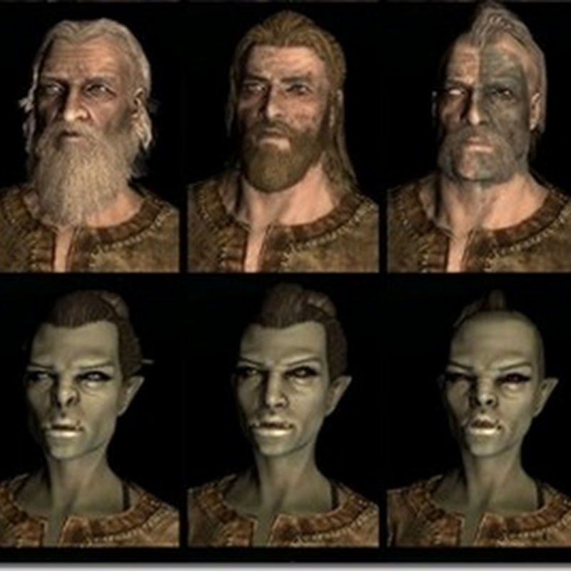 The Elder Scrolls: Skyrim - Zwanzig verschiedene Varianten jeder der Rassen von Skyrim