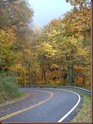 2011_1013ROAN_MOUNTAIN_SP0003 2011_1013ROAN_MOUNTAIN_SP0003