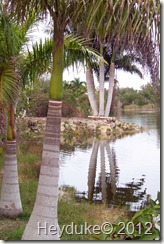 2012-02-01 Seminole Campground area 057
