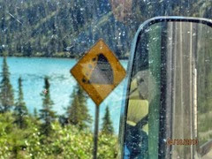 Strange signs - Watch for Avalanches (1)