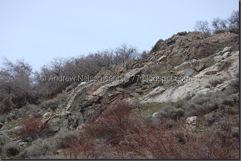 DSC_0057 DSC_0057