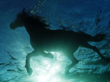 tumblr_lstnaoaWzC1qzyj9no1_500