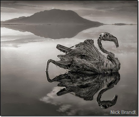 lago natron1 lago natron1