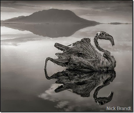 lago natron1