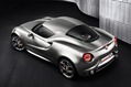 Alfa-Romeo-4C-Concept-3[3]