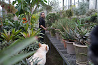Ryan, the greenhouse is so organized and you take such good care of all the plants.  They've never looked more beautiful!