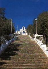 clip_image006 clip_image006