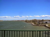 IMG_9186 IMG_9186