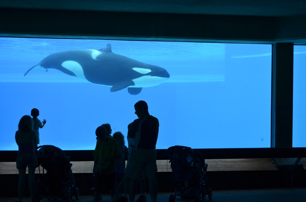 [DSC_1832%255B3%255D.jpg]