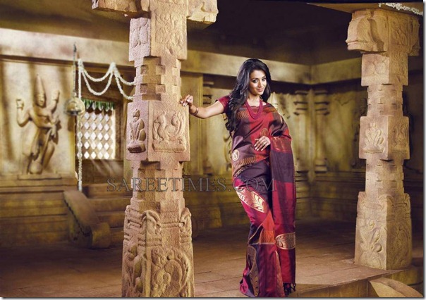 Trisha_Traditional_Saree (3)
