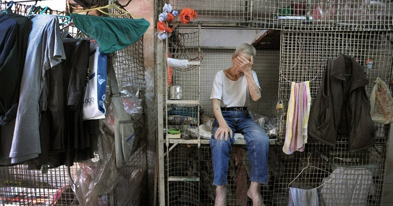 BLOG USANG: [ Sadis } Manusia Umpama Anjing Di Hong Kong