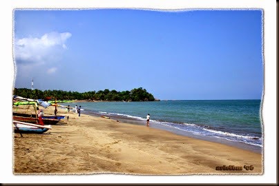 best beach for surfers