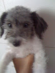 PEGGY