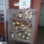 RIMG0048.JPG