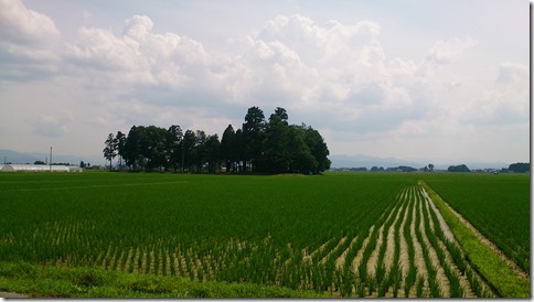 DSC_0388 DSC_0388