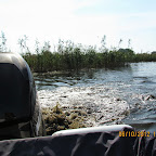 IMG_7984.JPG