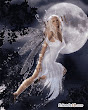 Moon And White Wings