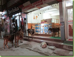 IMG_0133 IMG_0133