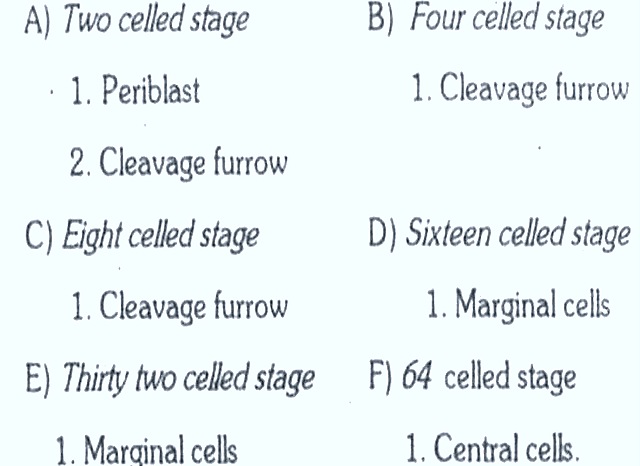 [CHICK-GASTRULATION%255B19%255D.jpg]