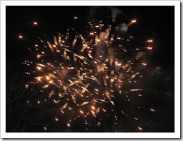 Florida vacation Epcot at night Illuminations fireworks5