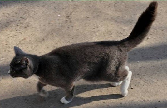 [clip_image009%5B4%5D.jpg]