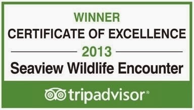 [2013%2520Trip%2520Advisor%25202%255B2%255D.jpg]