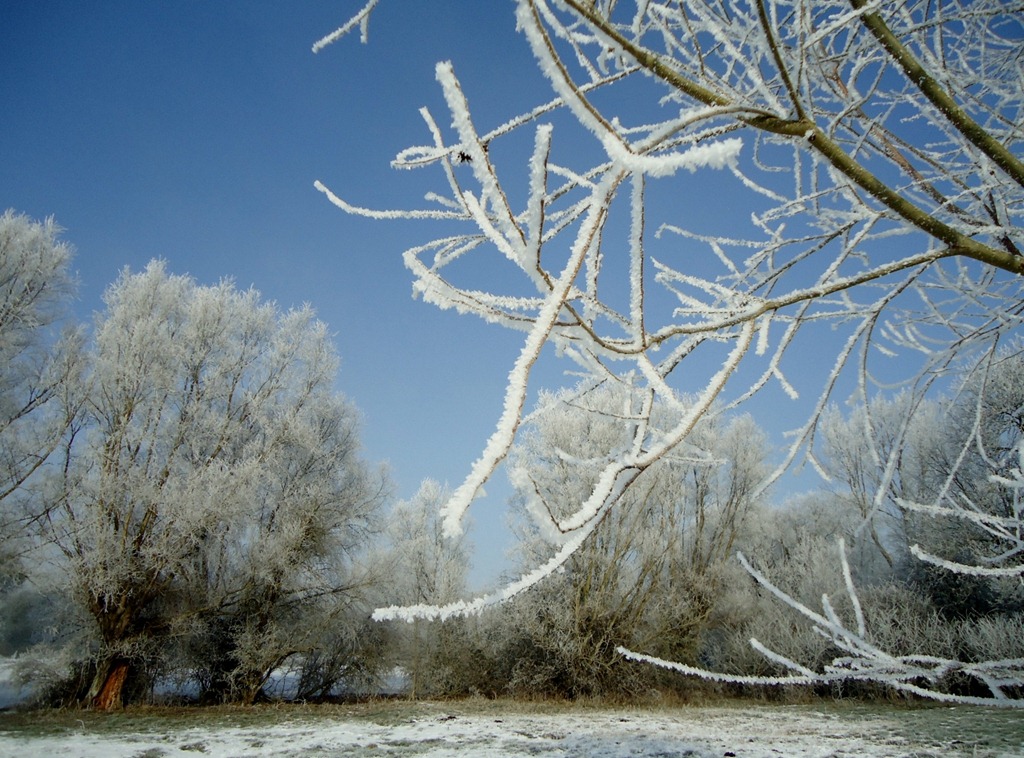 [Cambridge%25202-10%2520icestorm%252039%255B3%255D.jpg]