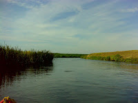 DSC06484.JPG Photo