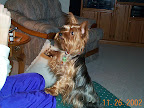 DCP00763.JPG