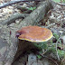 2012-06-08_11-53-58_604