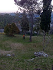 P63441500.jpg