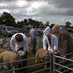 GLAShow 2012 021.jpg