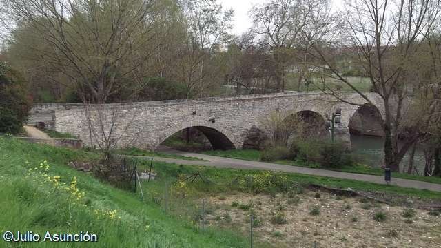 [Puente-medieval-de-Miluce---Pamplona.jpg]