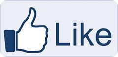 How to Increase Facebook Likes l Facebook Tricks