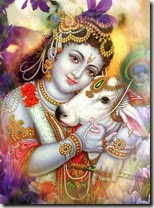 [Lord Krishna with cow]