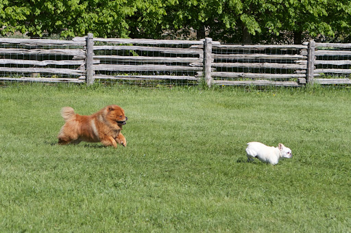 I'm pretty fast, but I think G.K. is even faster!