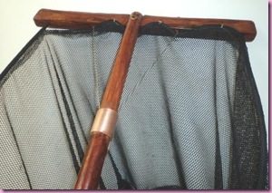 Picture 300 Picture 300