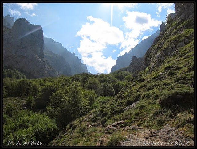 Picos 026 Picos 026